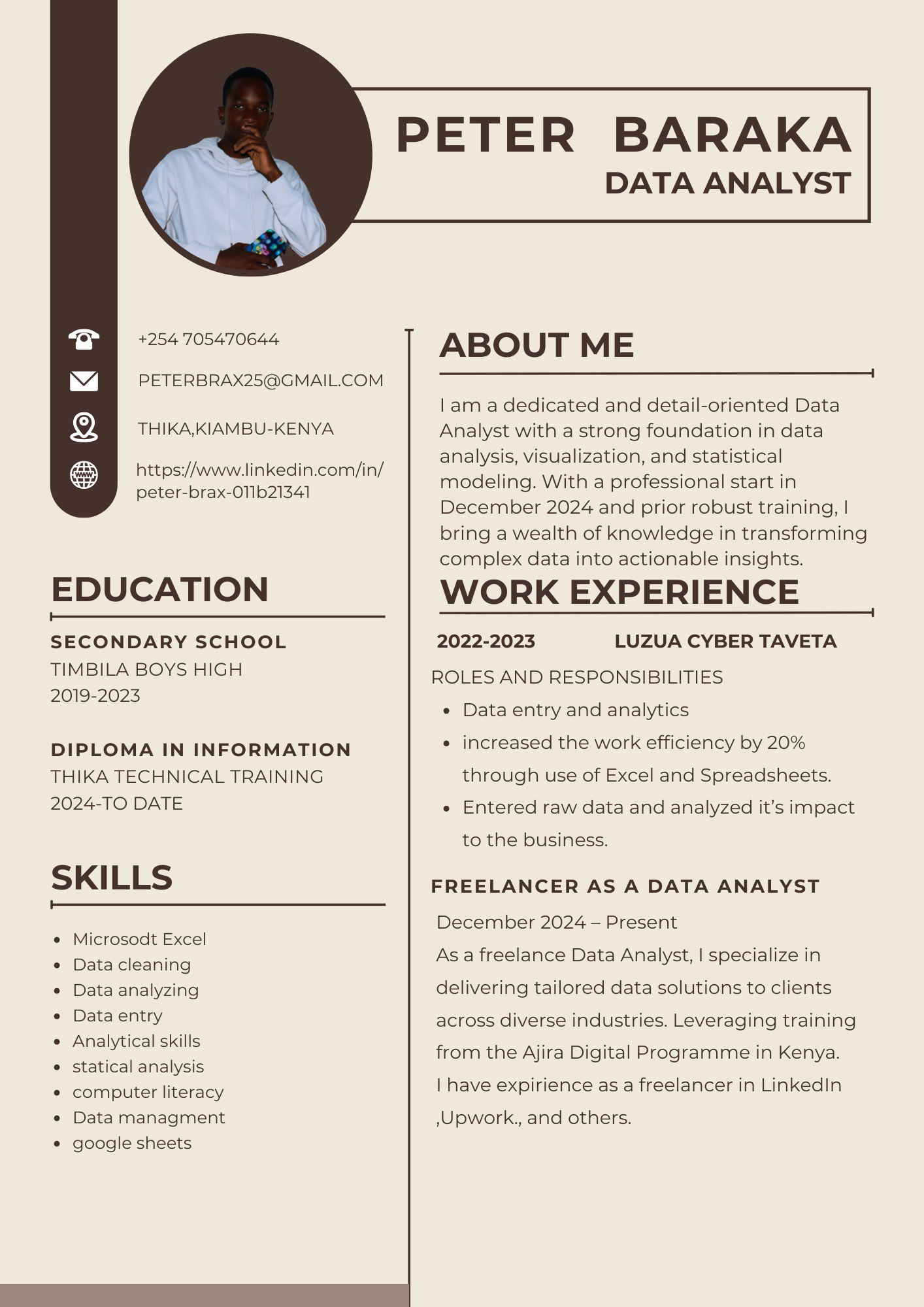 Data analyst CV